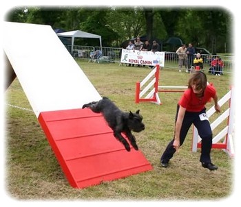 Rita de la Capeliere, ch de France d'agility 2006, catégorie B