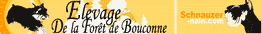 Elevage de la Forêt de Bouconne
