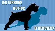 Les Forbans du Roc d'Hervieux